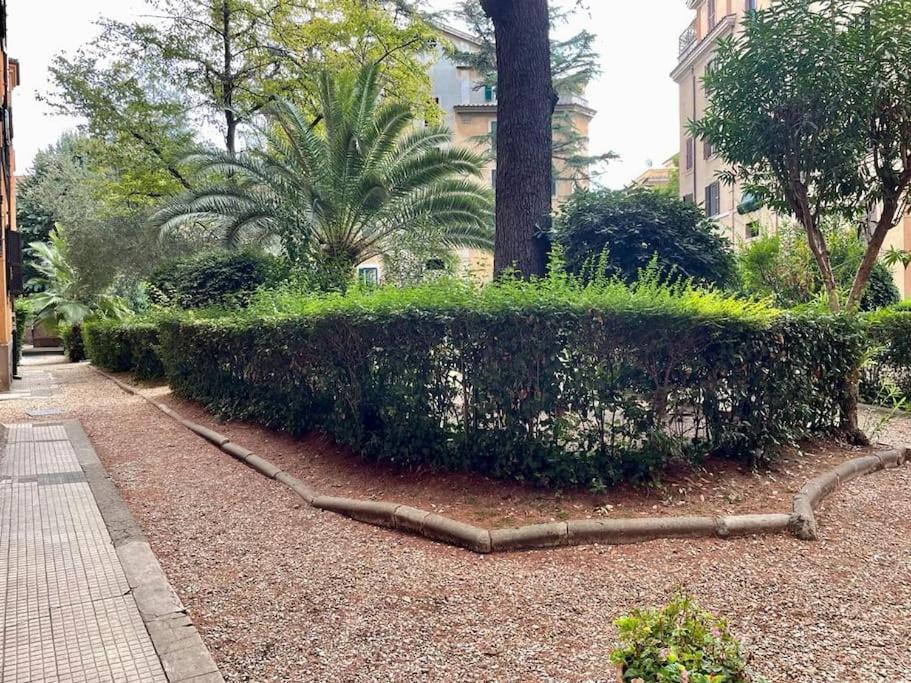 New - Comfortable Apt Porta Latina Rome Buitenkant foto